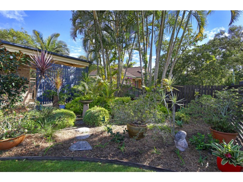 91 Butler Street, Tewantin QLD 4565