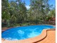 44 Read Street, Tewantin QLD 4565
