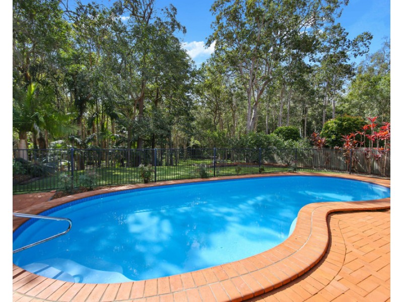 44 Read Street, Tewantin QLD 4565