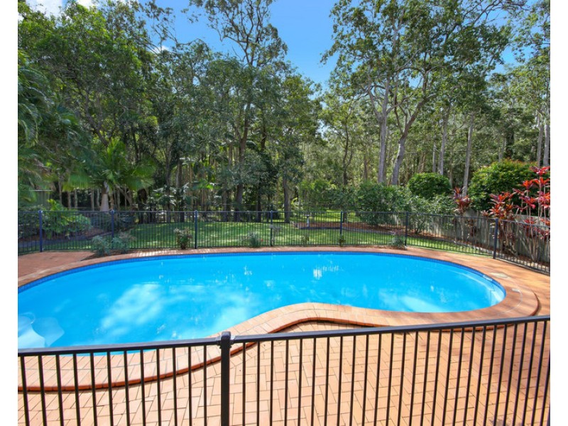 44 Read Street, Tewantin QLD 4565
