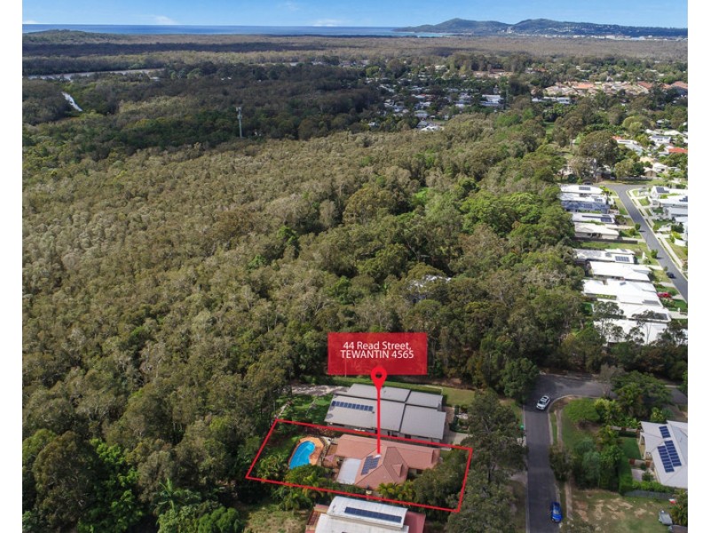 44 Read Street, Tewantin QLD 4565