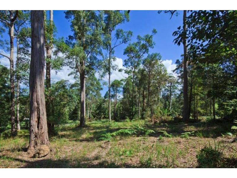 47 Forest Acres Drive, Cooroy QLD 4563