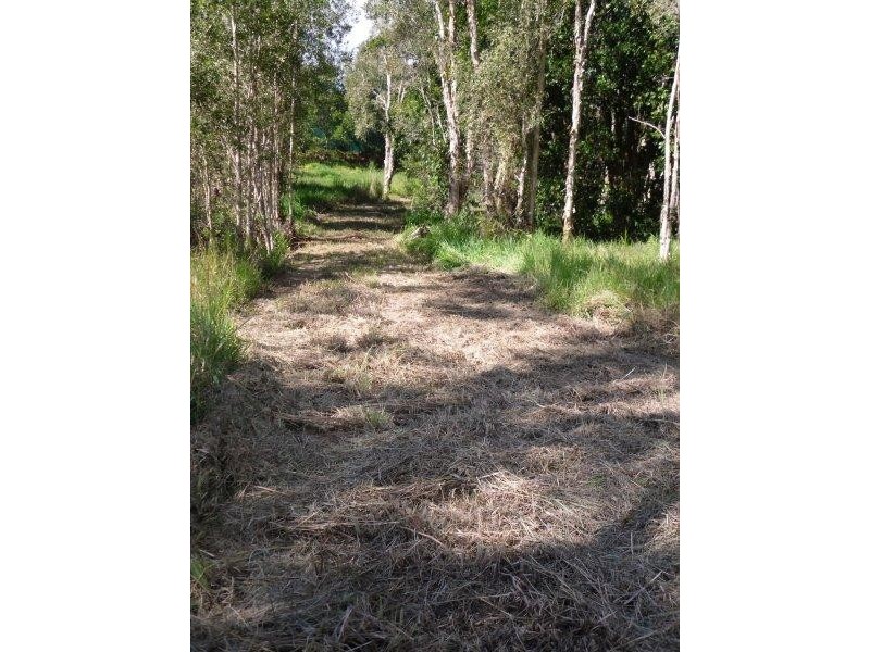 46 Dandaloo Drive, Cootharaba QLD 4565