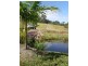46 Dandaloo Drive, Cootharaba QLD 4565