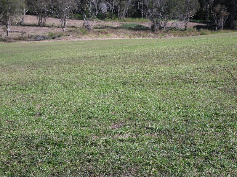 46 Dandaloo Drive, Cootharaba QLD 4565