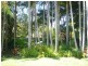 7 Woodland Court, Tewantin QLD 4565