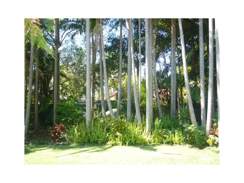 7 Woodland Court, Tewantin QLD 4565