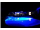 25 Yatama Place, Cooroibah QLD 4565