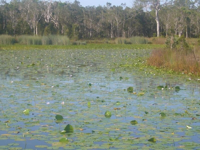 76 Edington Drive, Cooroibah QLD 4565