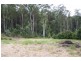 42 White Wood Court, Lake Macdonald QLD 4563