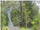 Noosaville QLD 4566
