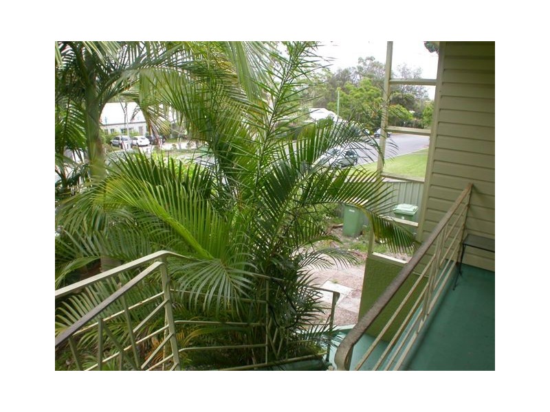8 Doonella Street, Tewantin QLD 4565