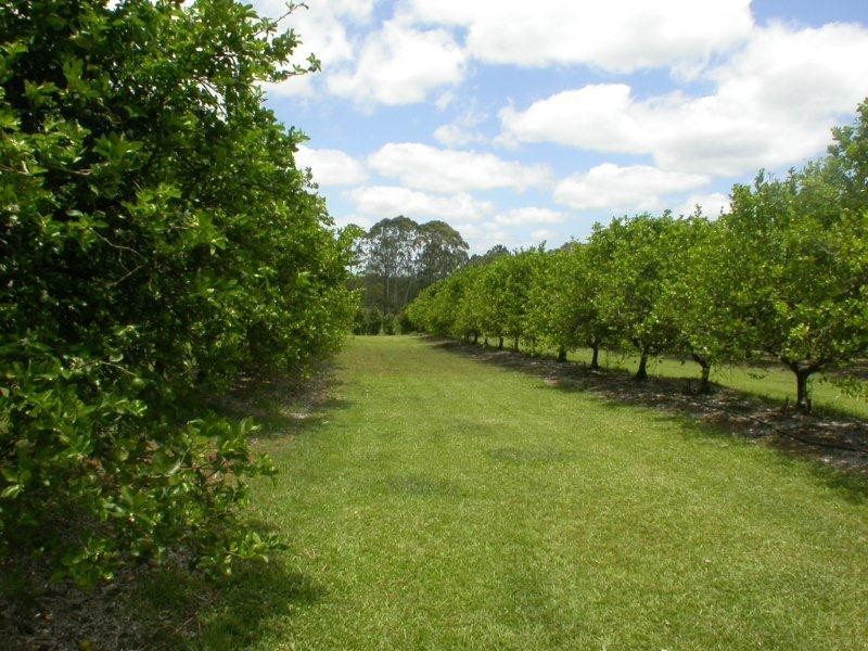 142 Cootharaba Downs Road, Cootharaba QLD 4565