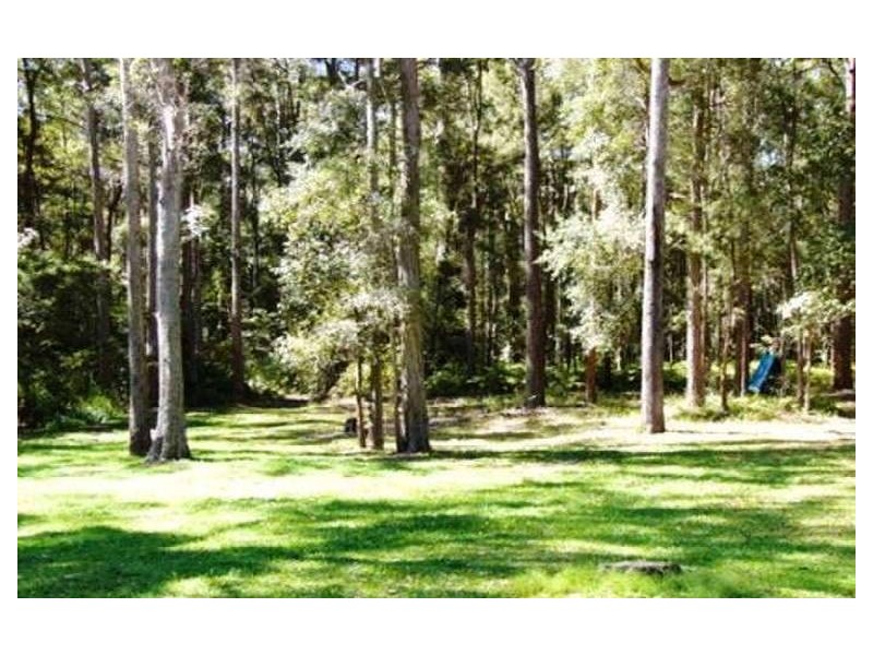 Doonan QLD 4562