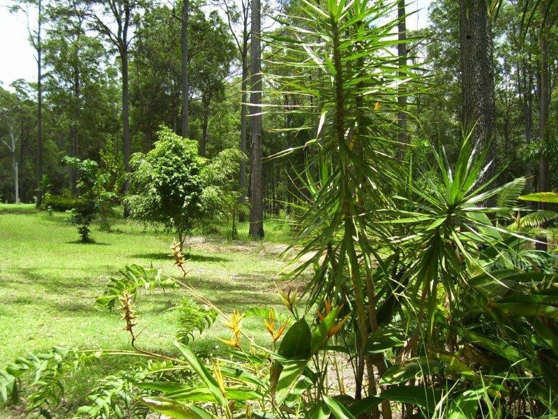 238  Kinmond Creek Road, Cootharaba QLD 4565