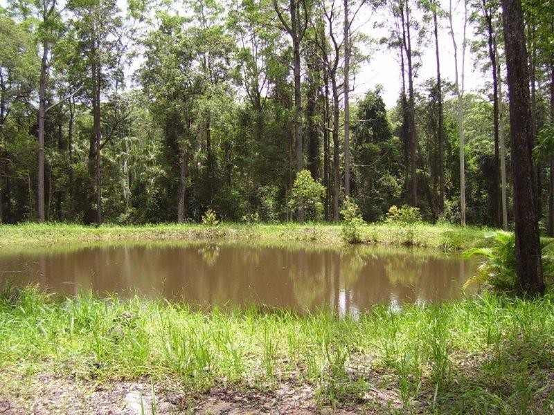 238  Kinmond Creek Road, Cootharaba QLD 4565