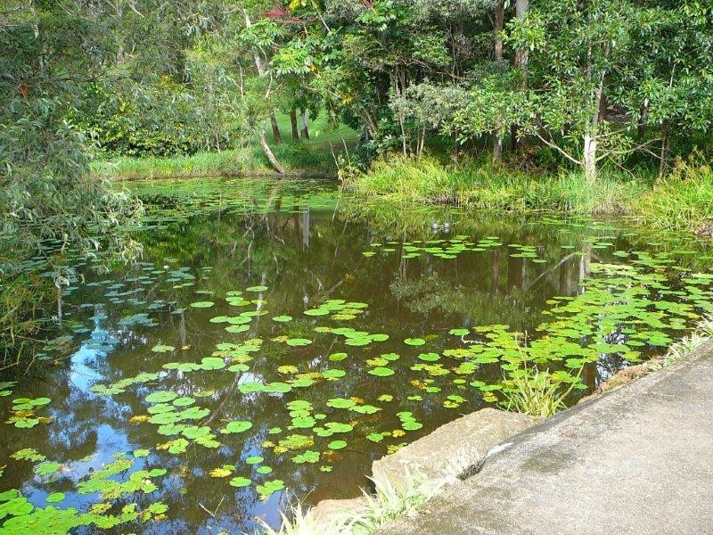 34 Marnie Crescent, Doonan QLD 4562