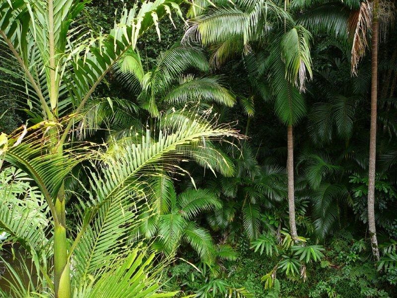 34 Marnie Crescent, Doonan QLD 4562