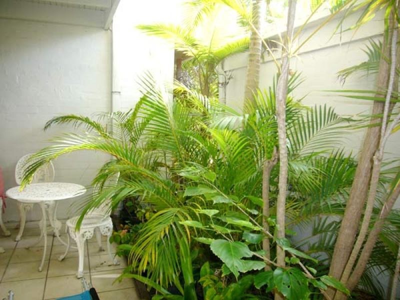 1/65 Noosa Parade, Noosa Heads QLD 4567