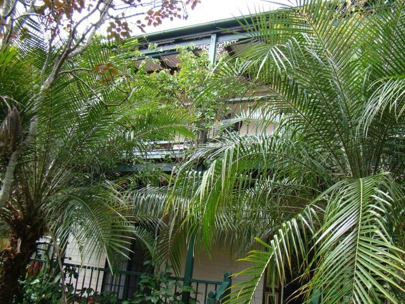 44 Laguna Street, Boreen Point QLD 4565