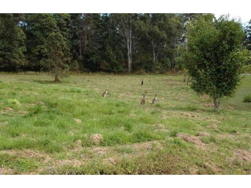 11 Redwood Road, Doonan QLD 4562