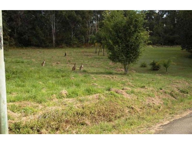 11 Redwood Road, Doonan QLD 4562