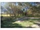 199 Moorindil Street, Tewantin QLD 4565