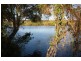 11 Creek Road, Noosaville QLD 4566