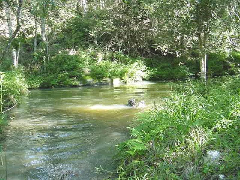 532 Black Mountain Road, Black Mountain QLD 4563