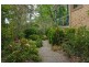 19 Dierdre Drive, Eumundi QLD 4562