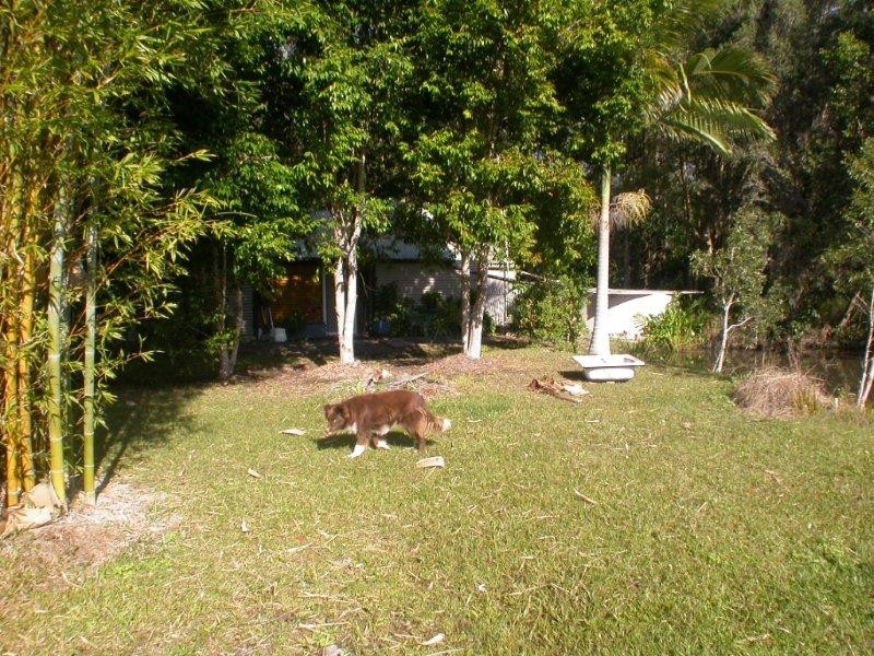 165 Dath Henderson Road, Tinbeerwah QLD 4563