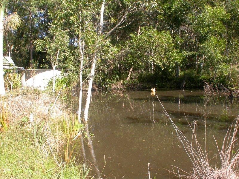 165 Dath Henderson Road, Tinbeerwah QLD 4563