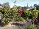 8 William Street, Tewantin QLD 4565