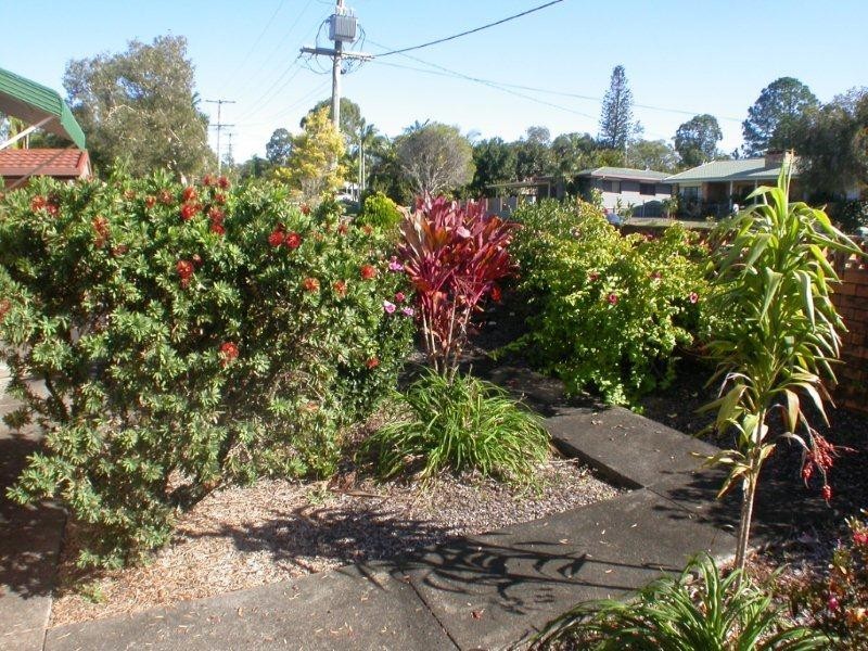 8 William Street, Tewantin QLD 4565
