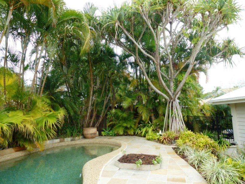 31 Heron Court, Tewantin QLD 4565