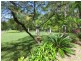 86 Laguna Grove*, Doonan QLD 4562