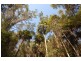 49 Kildeys Road, Cootharaba QLD 4565