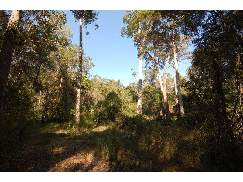 49 Kildeys Road, Cootharaba QLD 4565