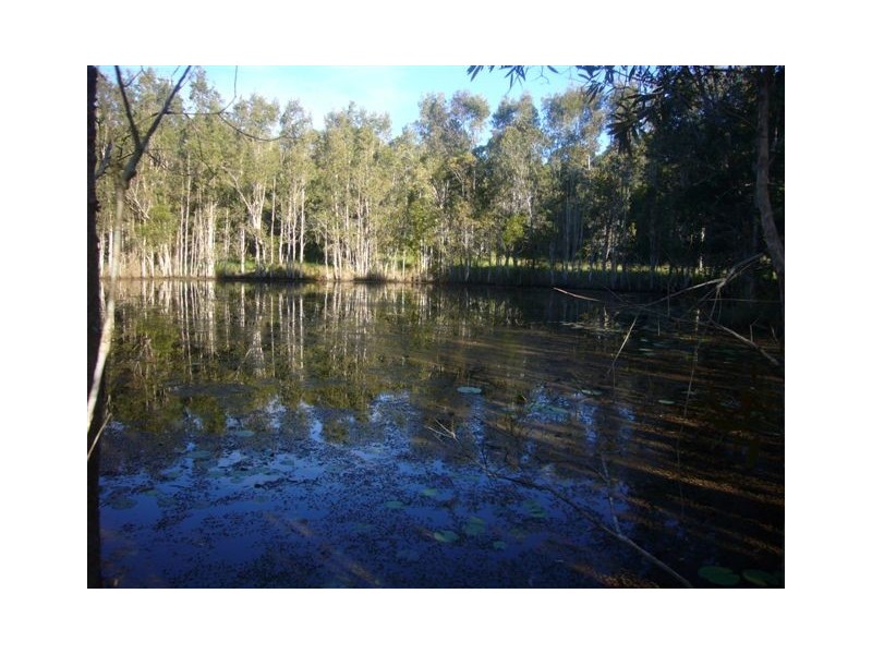 1503 Louis Bazzo Drive, Boreen Point QLD 4565