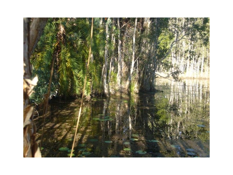 1503 Louis Bazzo Drive, Boreen Point QLD 4565