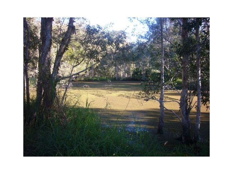 1503 Louis Bazzo Drive, Boreen Point QLD 4565