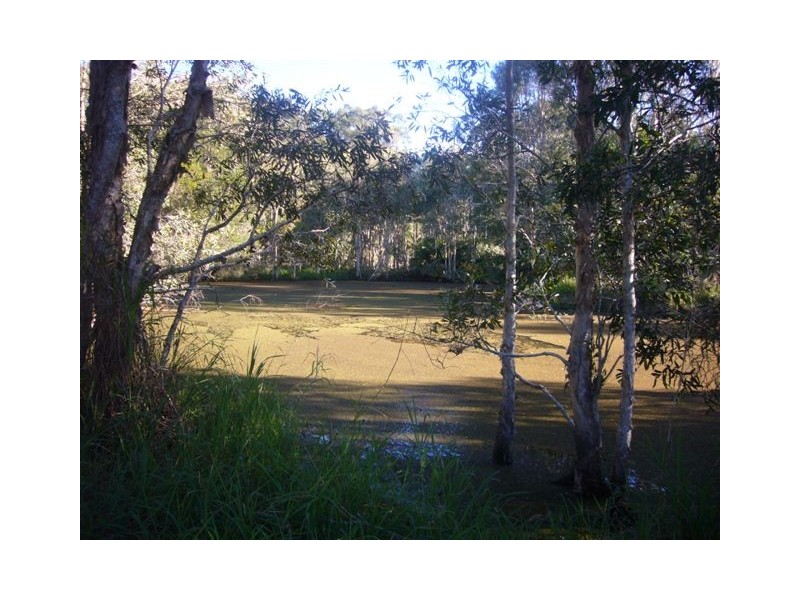 1503 Louis Bazzo Drive, Boreen Point QLD 4565