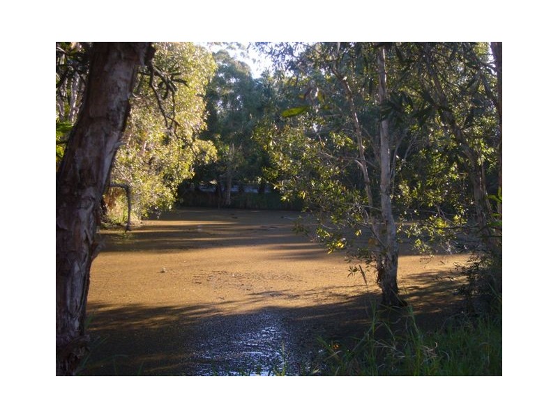 1503 Louis Bazzo Drive, Boreen Point QLD 4565