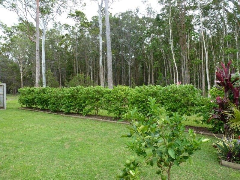 12 Oakleaf Close, Tewantin QLD 4565