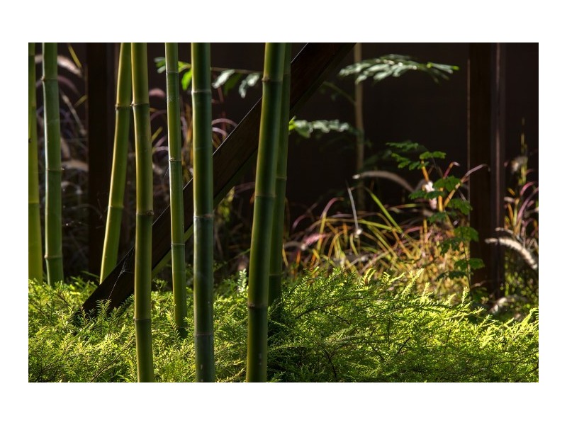 24 Waterside Court, Noosa Waters QLD 4566