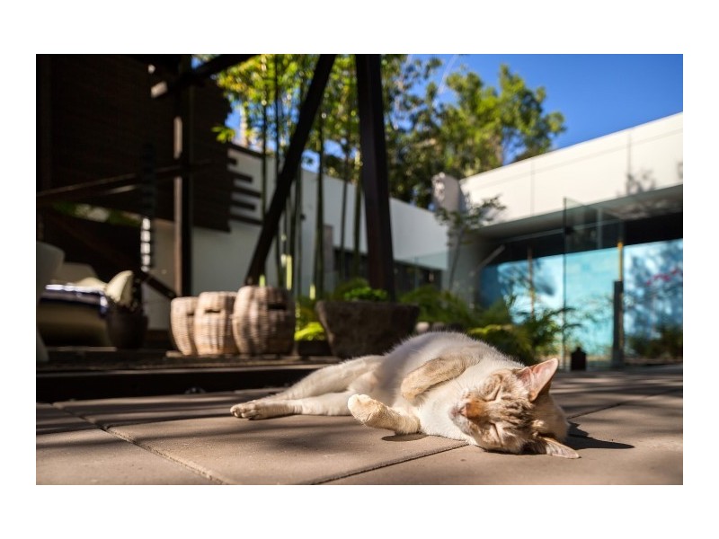 24 Waterside Court, Noosa Waters QLD 4566