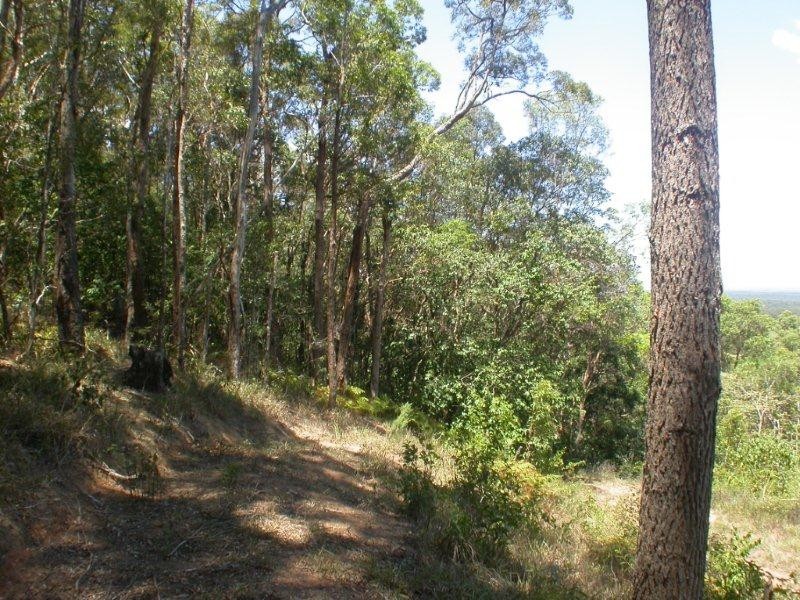 264 Cootharaba Road, Cootharaba QLD 4565