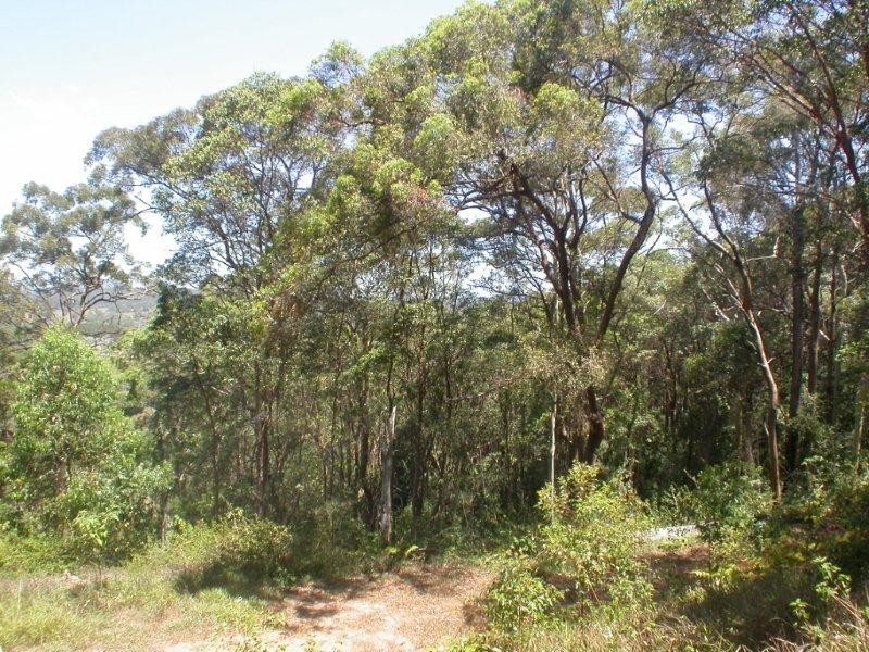 264 Cootharaba Road, Cootharaba QLD 4565