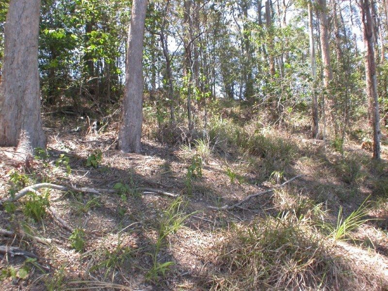 264 Cootharaba Road, Cootharaba QLD 4565