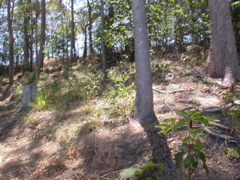 264 Cootharaba Road, Cootharaba QLD 4565